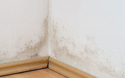 jf-caron-service-impermeabilisation-fondation-humidite jf-caron-service-impermeabilisation-fondation-humidite